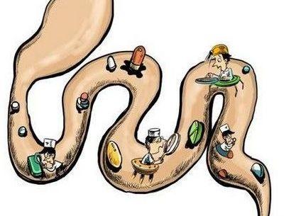 人体哪些器官可以切除不会影响,人体切除哪些器官还能继续活