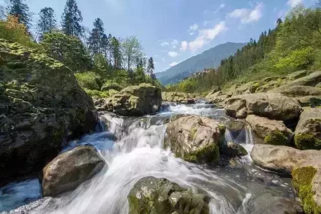 鍥涘窛楂橀搧鐩磋揪宸濊タ鏃呮父鏅偣,鎴愰兘2.5灏忔椂鐩磋揪鍘熷妫灄