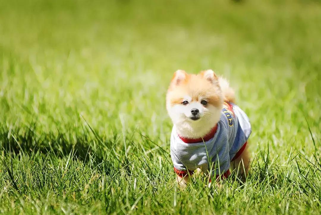 成都批发商品最便宜的地方在哪里,成都最大的小商品批发市场在哪里