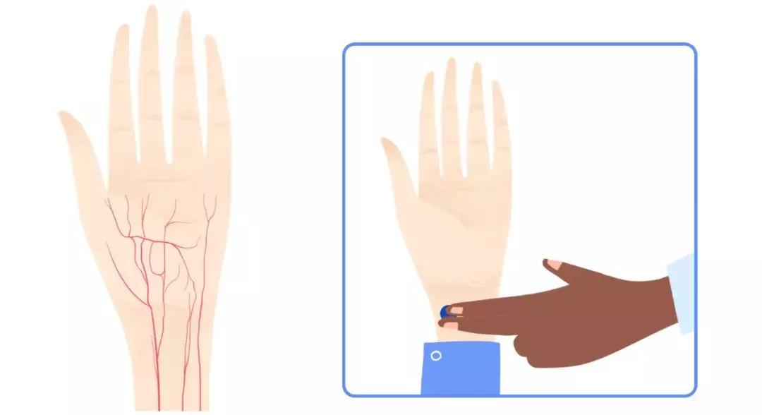 手腕测脉搏的方法,测脉搏的部位是哪里图