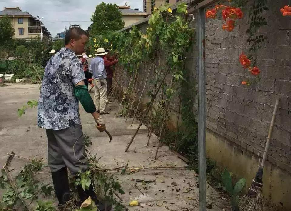 东阳市江北街道:一座城市一个家,文明江北靠大家!