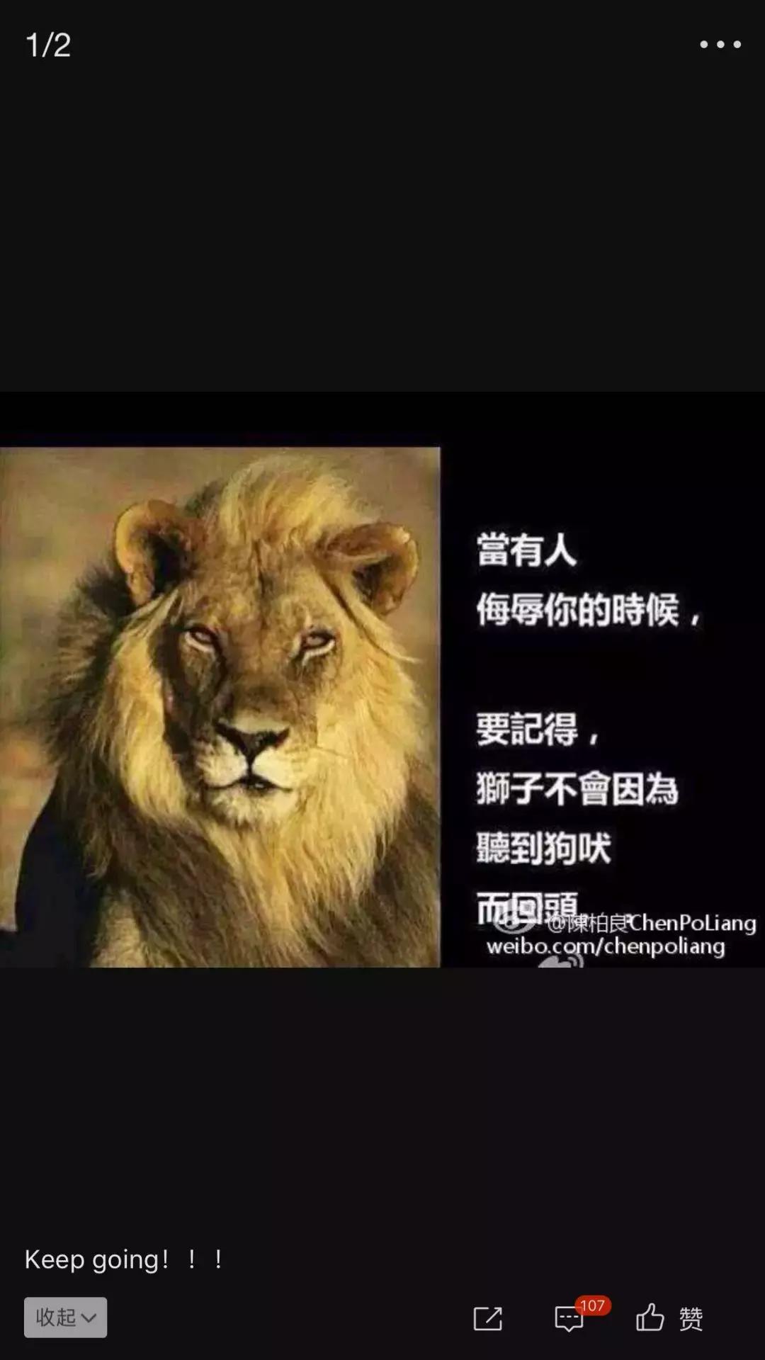 绿城足球陈柏良,国青男排陈柏良