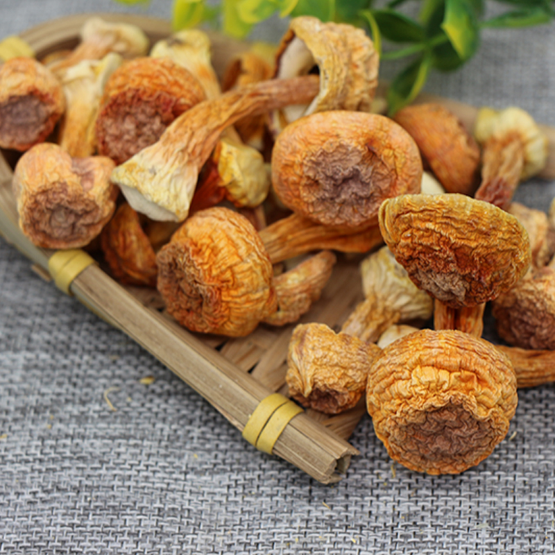 食代滋味带你了解-神秘的姬松茸