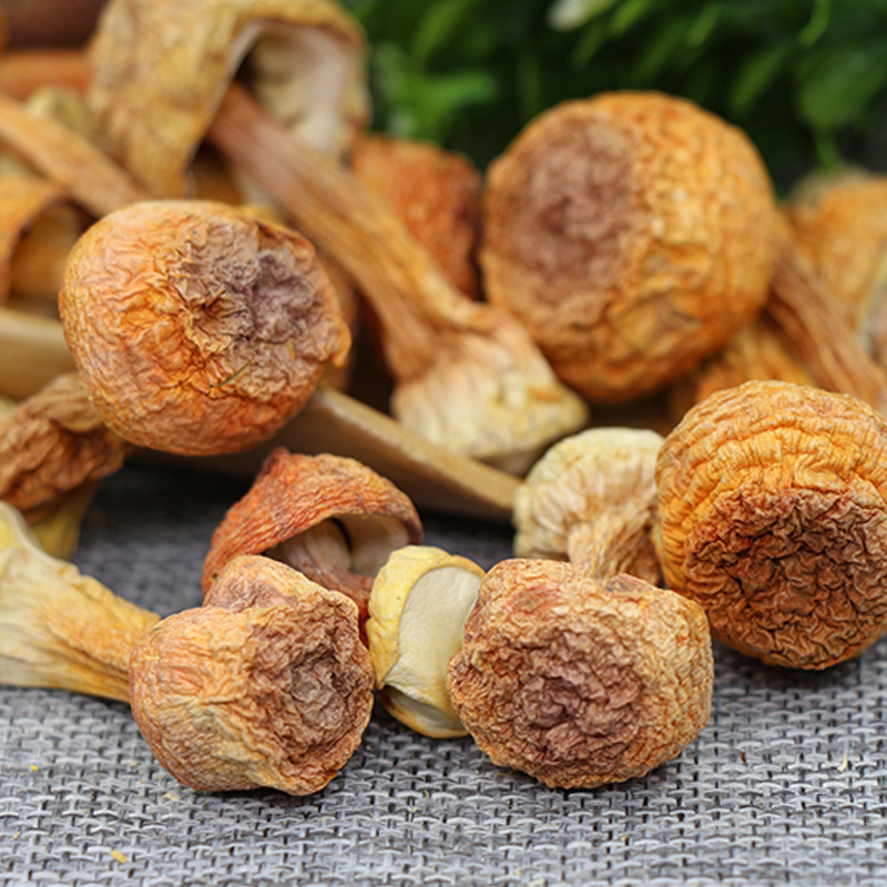 食代滋味带你了解-神秘的姬松茸