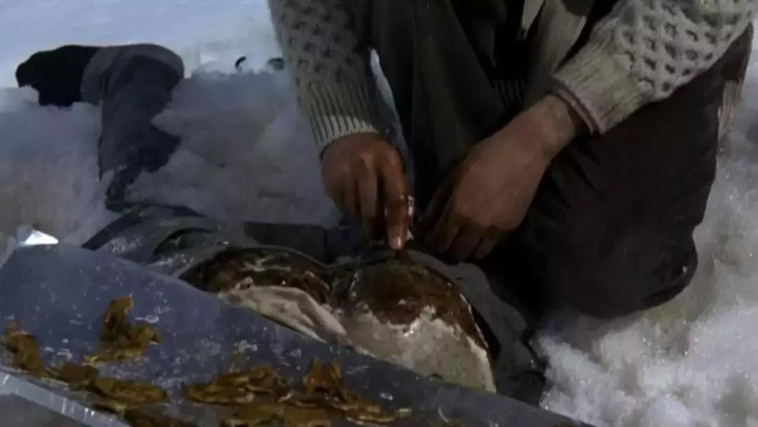 空难电影十大巅峰之作真实改编,豆瓣8分真实事件改编