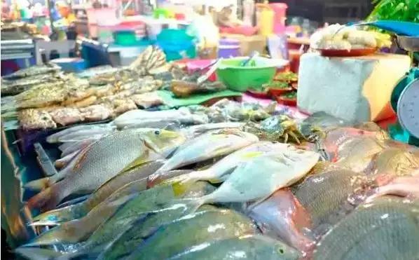 开海了哪里海鲜便宜汕头,开海了去哪里买海鲜青岛