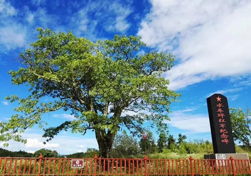 重庆本地人推荐去的地方夏天,重庆人少好玩的地方凉快推荐