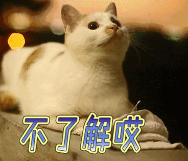 塘沽北塘海鲜哪里好吃,塘沽北塘海鲜哪家最好