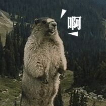 换耳塞耳套的技巧,换耳套有用吗