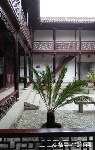 我的小学在线免费观看,我的小学在线播放