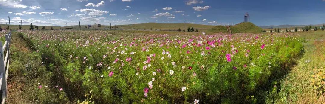 虎八鲲鹏版1.6音响效果,虎八越野视频完整版
