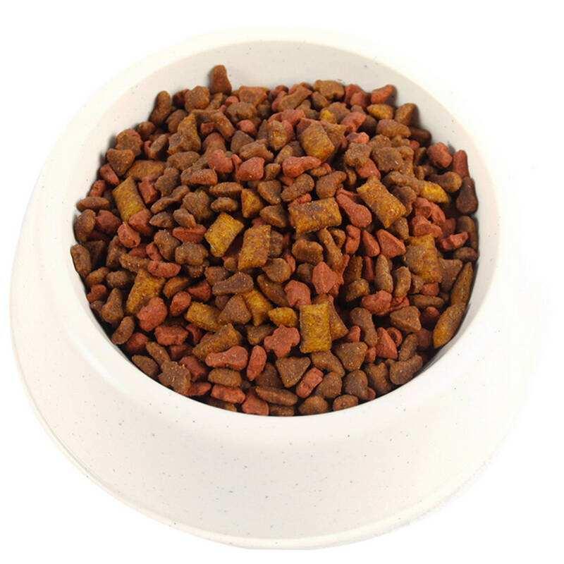 怎么给猫咪挑选合适的猫粮,猫咪适合吃的猫粮家趣猫粮