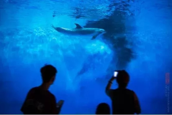 横店梦幻谷玩水需要带什么,梦幻谷横店门票团购优惠直播