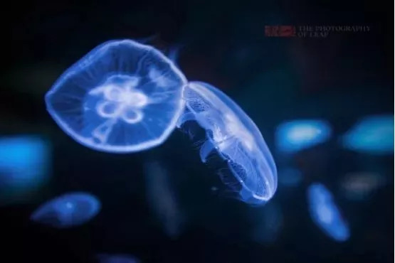 横店梦幻谷玩水需要带什么,梦幻谷横店门票团购优惠直播