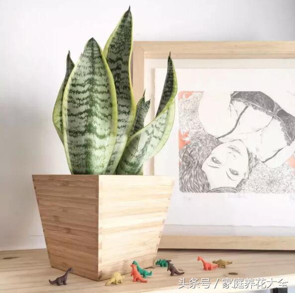 对抗秋冬干燥学会这4招,对抗秋燥