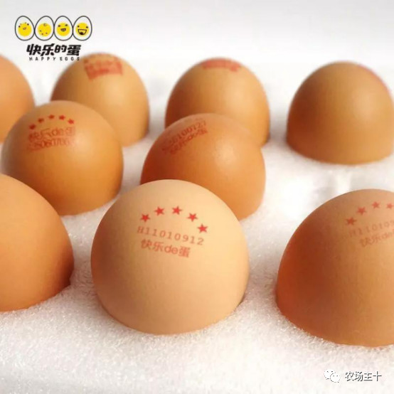 明星为明星打call视频,明星疯狂打call