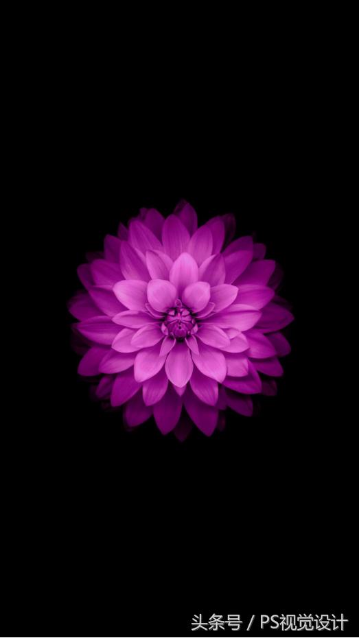 苹果官方最新发布的高清壁纸图文,iphone各系列经典壁纸