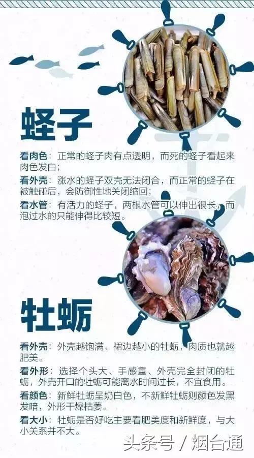 烟台开海现场直播视频,开海现场视频直播
