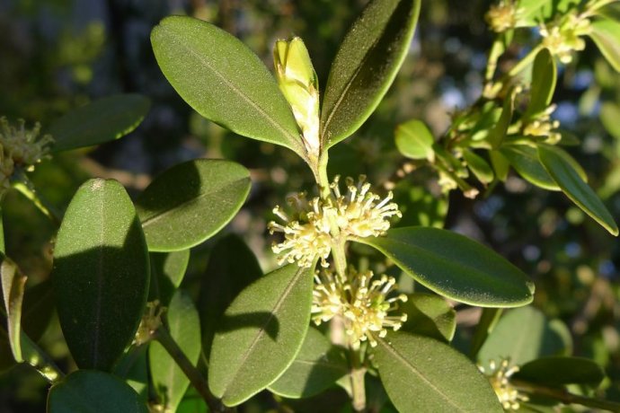 福州马尾区道路景观提升，打造秀美闽江生态之城