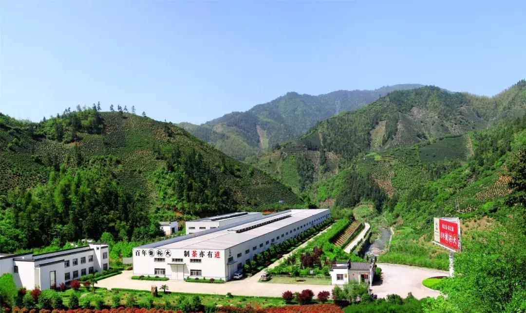 2024年上海国际茶业博览会,2019年上海国际茶文化博览会