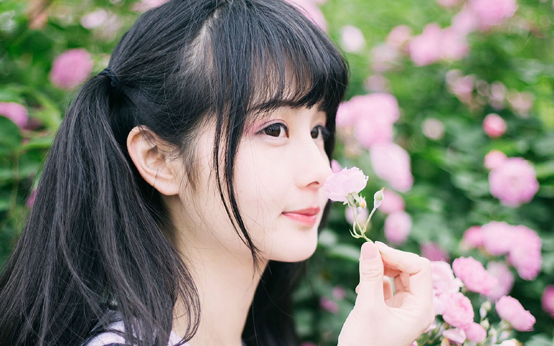 四种颜色的隔离霜,四款好用隔离