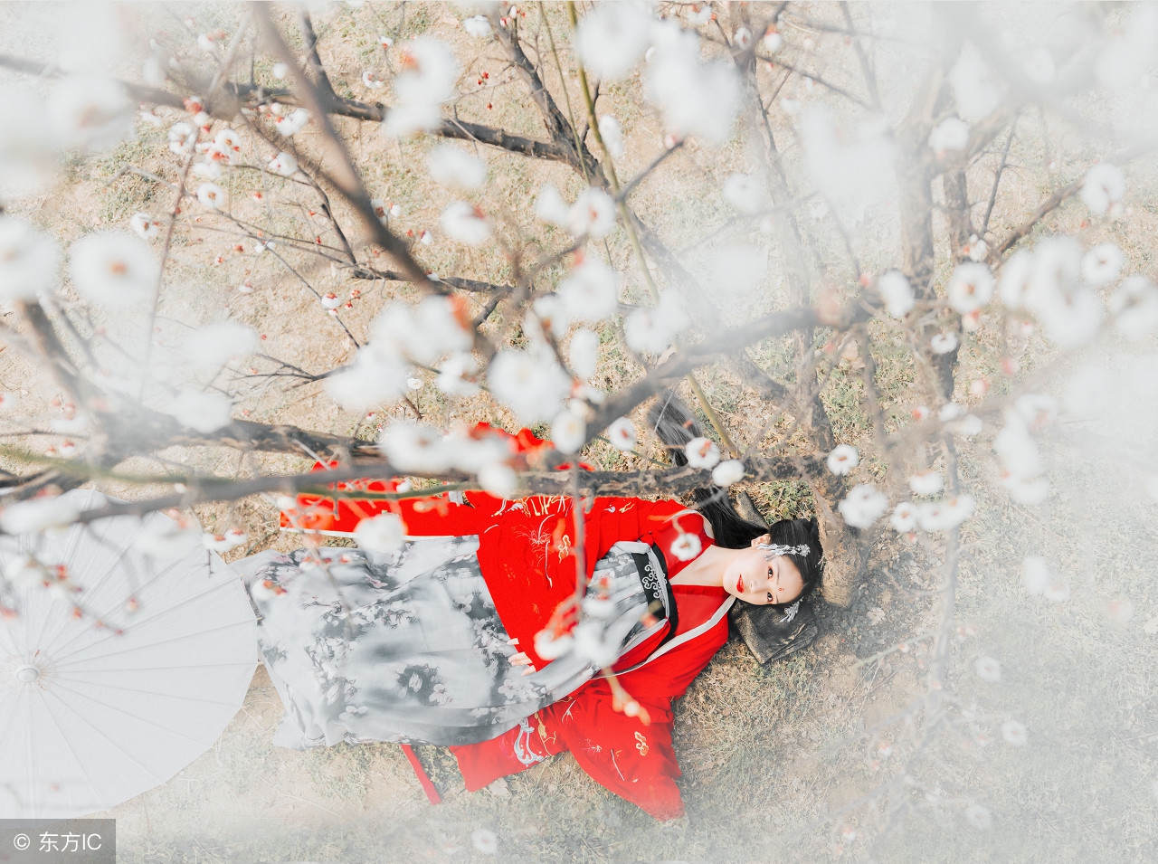 64个藏于古诗词中的成语,读过回味无穷(值得收藏)