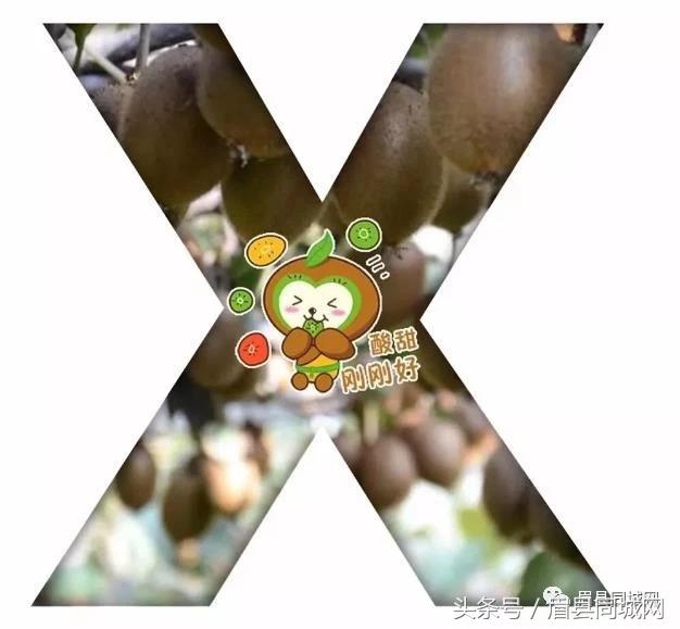 眉县猕猴桃消息,眉县猕猴桃真实故事