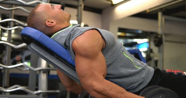 强壮手臂的锻炼方法,强壮胳膊小臂肌肉的方法