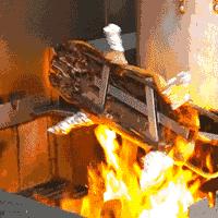 很多人都知道的早茶，对不起，我介绍晚了……