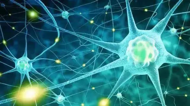 肝移植需要供体把整个肝都切掉吗,活体肝移植供肝手术多长时间