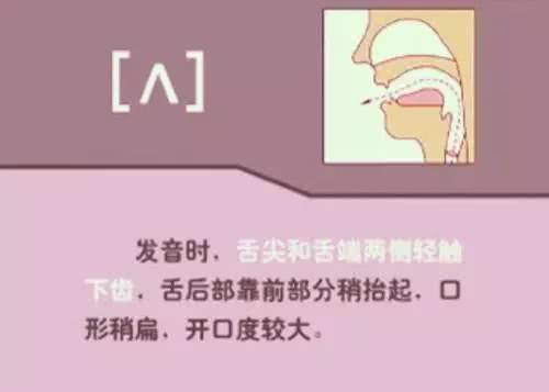 英语音标48个发音有趣教学视频,英语音标48个发音快速记忆