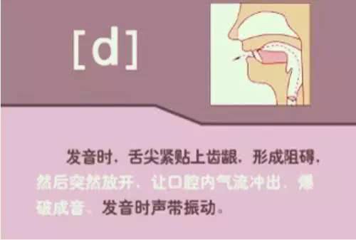 英语48个音标发音详细教程,英语48个音标的正确发音和技巧