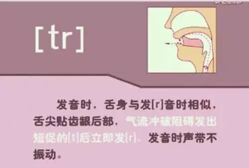 英语48个音标发音详细教程,英语48个音标的正确发音和技巧