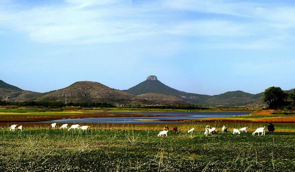 临沂美食四人餐,带你吃遍临沂美食