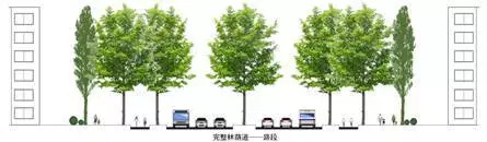 「交通看点」建设“完整林荫道”——步行和自行车交通环境设计建设图集亮点介绍（一）