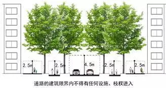 「交通看点」建设“完整林荫道”——步行和自行车交通环境设计建设图集亮点介绍（一）