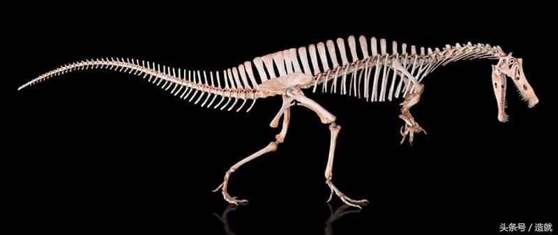 巴西博物馆藏文物,巴西博物馆大火幸存文物名单