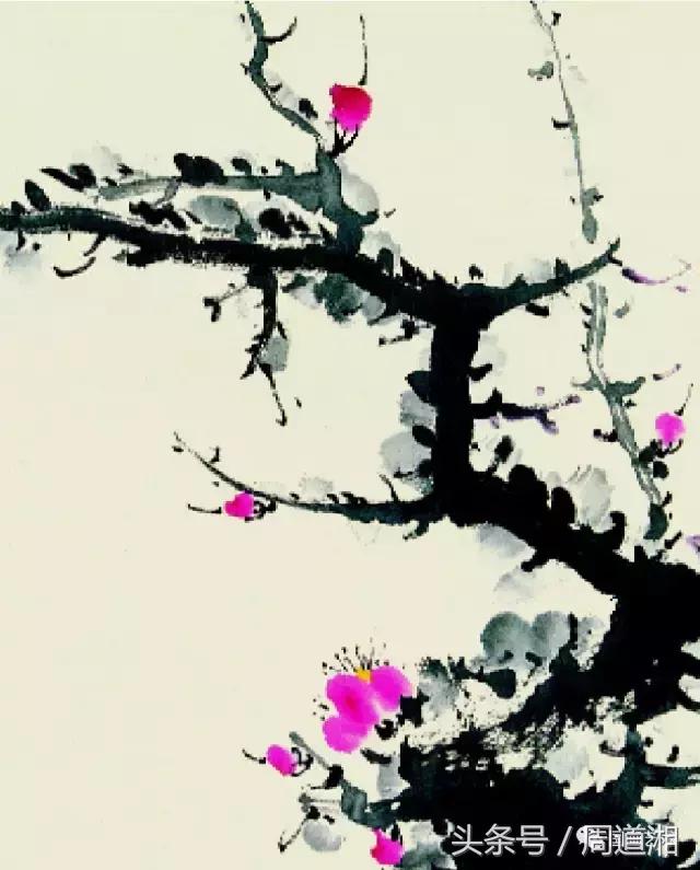 梅花花朵的国画画法视频,大写意梅花枝干国画画法