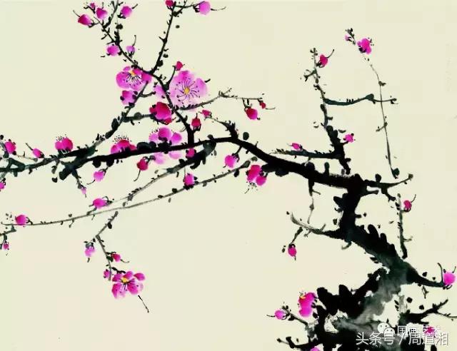 梅花花朵的国画画法视频,大写意梅花枝干国画画法