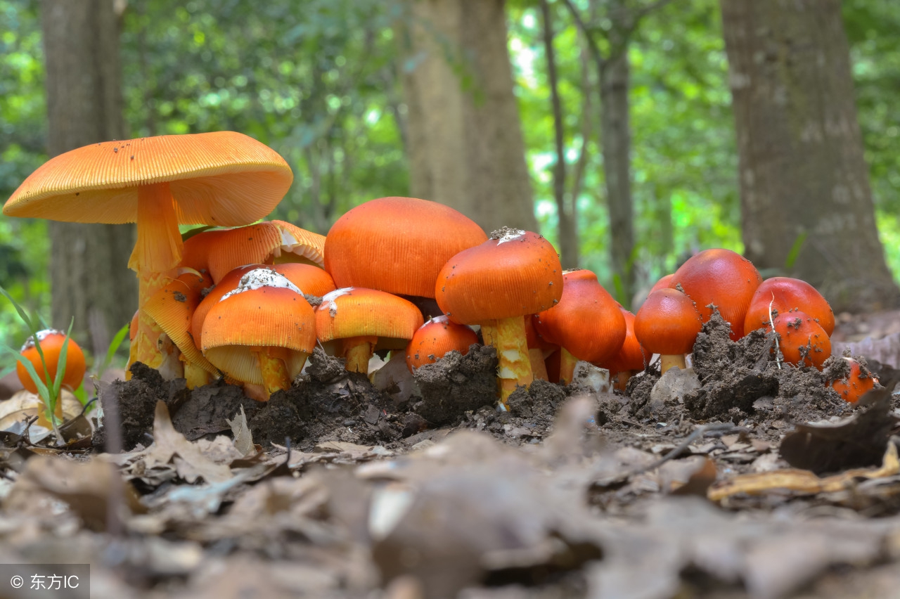 东北之旅温暖人心,东北之旅感动视频