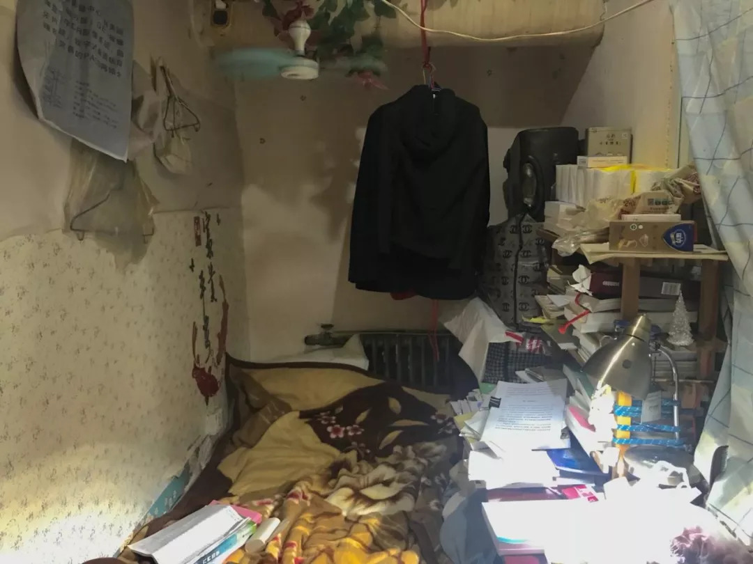 “民哲”们的世界