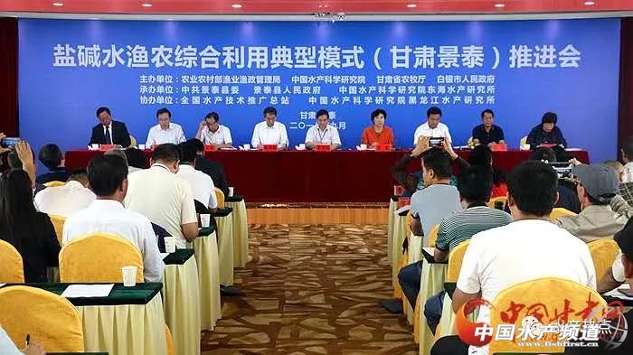 盐碱地变身新粮仓,盐碱地改良滩涂变良田