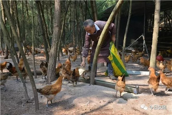 cctv7致富经摄制组,cctv7致富经栏目是什么时间播放