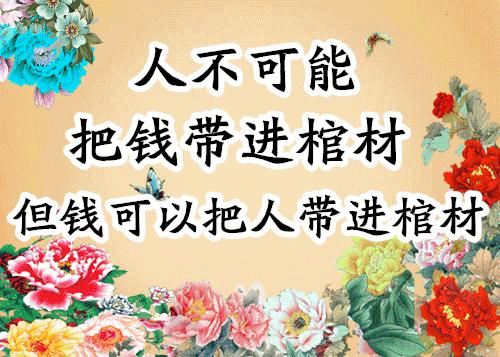 会动的照片大全,会动的11张图片