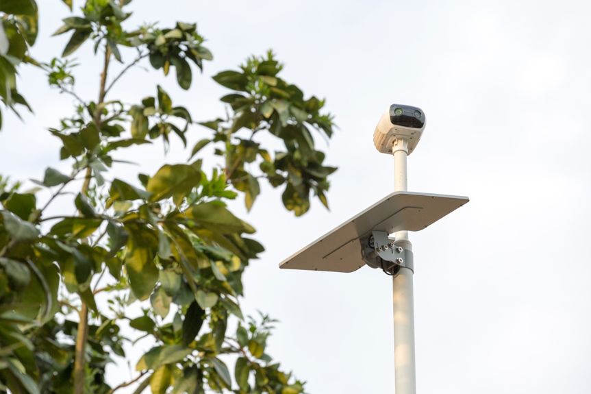 抖音直播、无人机施肥、局长站台，看90后新农人怎样玩转家乡蜜柚