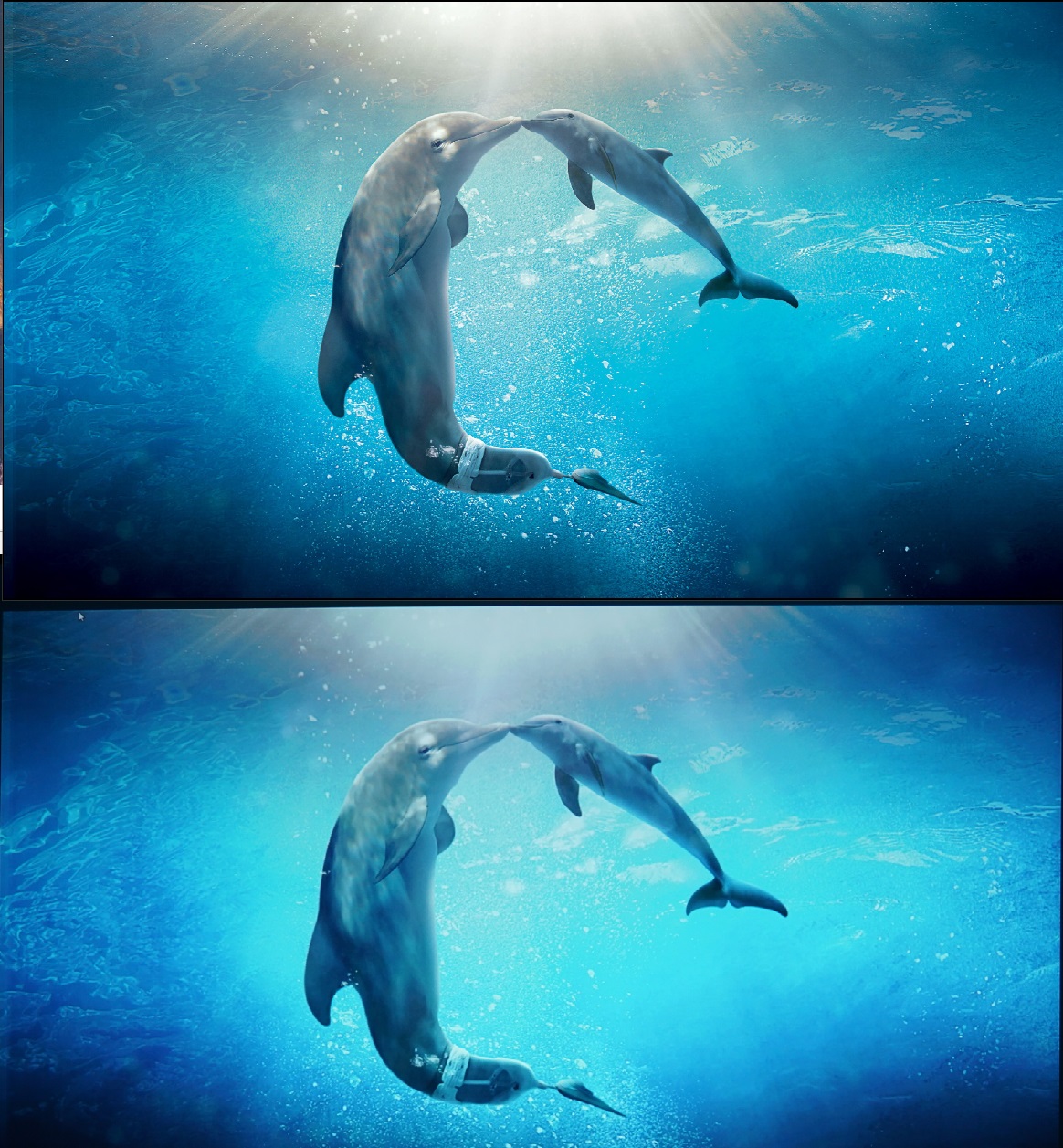 飞利浦显示器241p8q,飞利浦241v8显示器优缺点