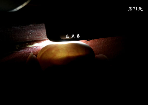 草龟繁殖经验分享孵蛋40天破壳,草龟养殖日记从幼苗开始