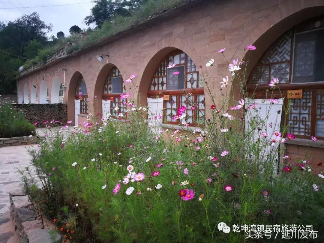 九月的碾畔民宿，红枣与你邂逅