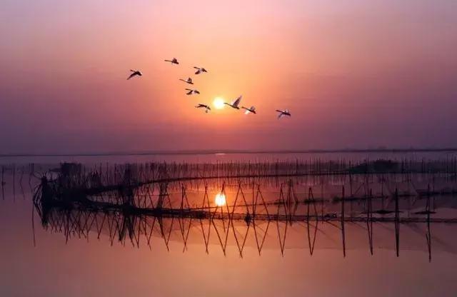 中华大地，每一寸河山，都饱含着文人骚客们的诗情画意