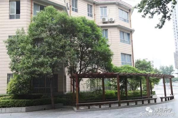 我们要给孩子诗和远方的田野，郑州名校系列：郑州市第四十四中学